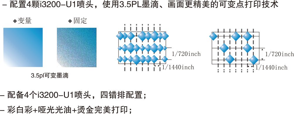 彩白彩+哑光光油+烫金