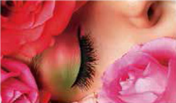 微信图片_20251223111905_1522_253